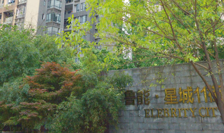 鲁能·鲁能星城