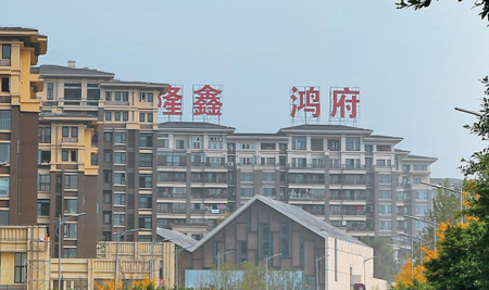 隆鑫·鸿府