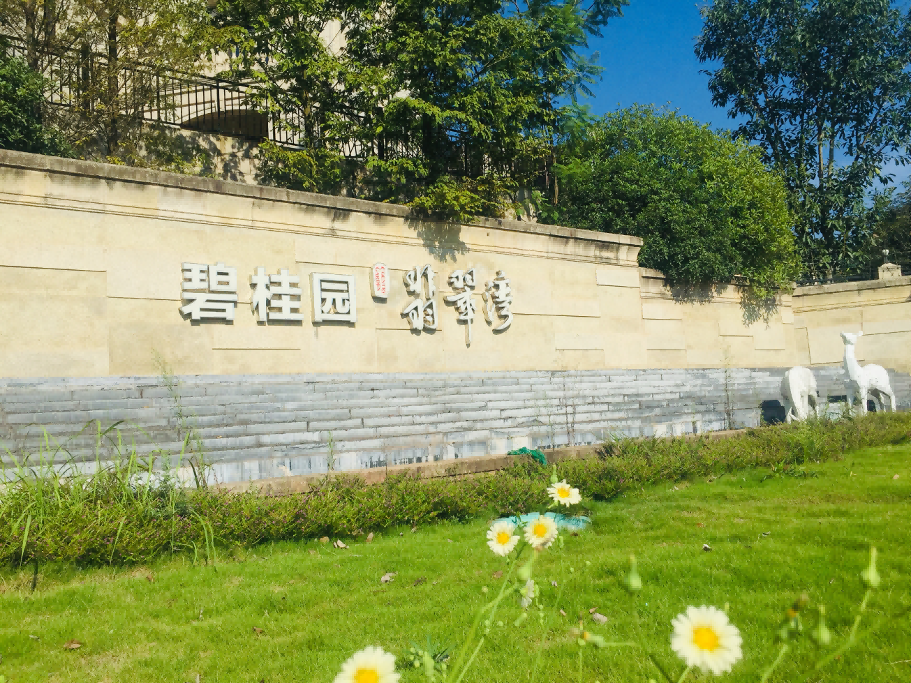 碧桂园.png