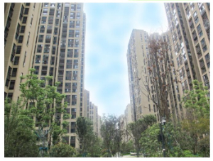 金地 • 大渡口项目DK11地块